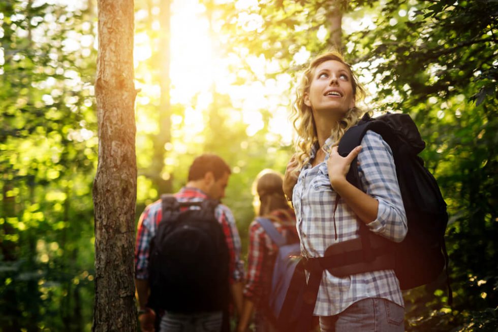 Best Hiking Trails in Algonquin Provincial Park - Nomi Resort