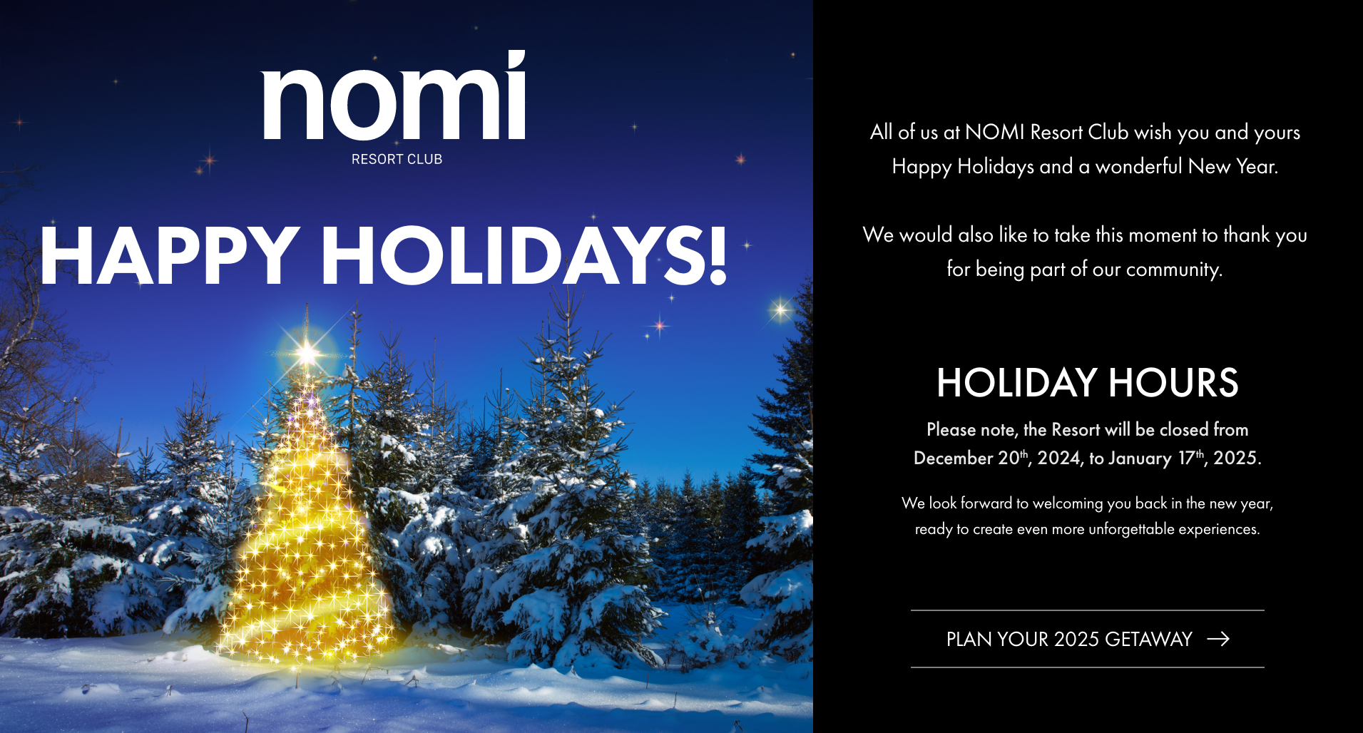  Nomi Holiday Banner Popup 