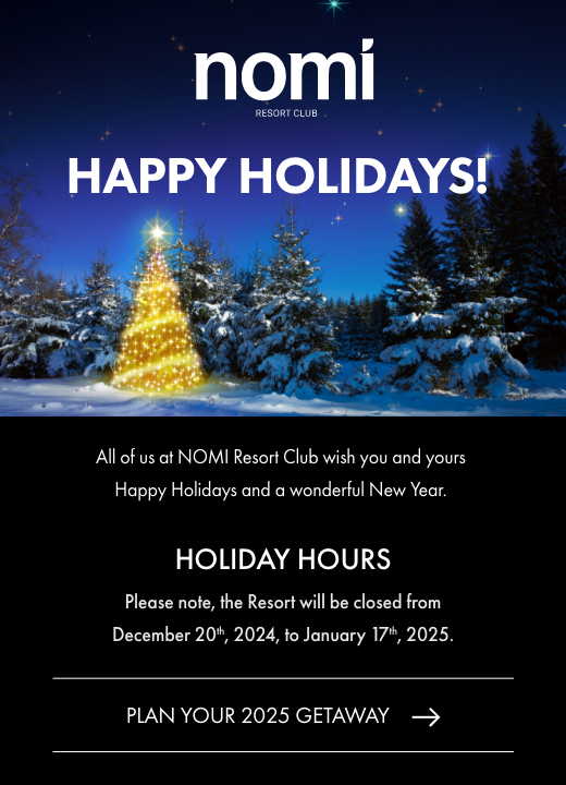  Nomi Holiday Banner Popup – Mobile 